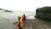 　手拋網捕黑鯛影片宣傳，橋仔澳口成為北竿本島最熱門釣點。（圖／文：陳鵬雄）