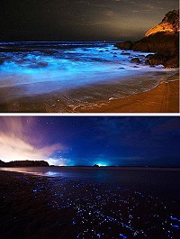 大陸騰訊認可連結麵包旅行線上app網站公布介紹「秘境台灣,台灣8處私密美景 」圖文。(圖:大陸麵包旅行網站)