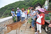 　大坵生態之旅邁入尾聲，共6318人次登島。（圖：本報資料室）