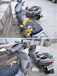 橋仔村木喜民宿旁有2部機車座椅遭毀滅性破壞,經警方證實是小狗所為。(圖/文:陳鵬雄)