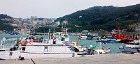 　烏魚汛期到，東引中柱港又迎來數十艘台灣漁船。（圖／文：陳其敏）