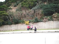 一群遊客8日清晨不畏風寒,為的是和小油菊拍照,留下馬祖冬天的意象,可惜油菊花只有一叢。(圖:王建華提供)