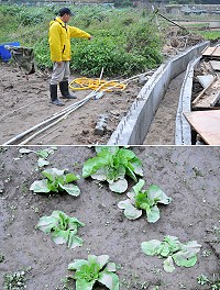 　&#22338;里農田淹水受災戶認為是排水溝工程施工不當，造成菜園大淹水。（圖／文：陳鵬雄）