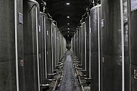 全村一起來熱鬧!(圖與文:張登傑、陳樂團)