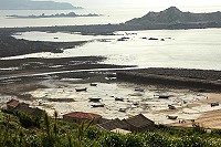 全村一起來熱鬧!(圖與文:張登傑、陳樂團)