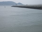 經港務處多次提醒,仍有部分民眾於港區內下網捕魚,港務處再次強調罰則,提醒民眾勿以身試法。(圖:港務處提供)