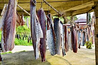 　東引內需市場小，民眾將過剩的烏魚，加工製成傳統魚乾或「一夜干」。（圖／文：陳其敏）
