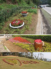 提升道路綠美化和景觀美感,建設局規劃獨特造景和植栽意象。(圖/文:吳嘉榮)