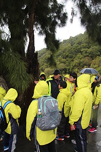 　全村一起來熱鬧！（圖與文：張登傑、陳樂團）