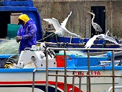 　漁人與鳥。（圖／文：陳其敏）