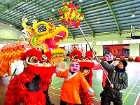 　龍獅呈祥。（圖／文：陳其敏）