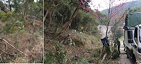 　建設局、環保局和馬防部聯手清理勝利水庫和勝天公園，打造優美賞櫻路線和觀景環境。（圖／文：吳嘉榮）