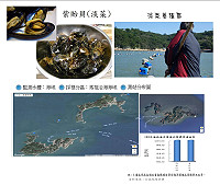 幫馬祖淡菜加油!連江縣衛生局參加全國性「拔尖計畫」,歡迎鄉親幫馬祖淡菜衝票數。(圖:連江縣衛生局)