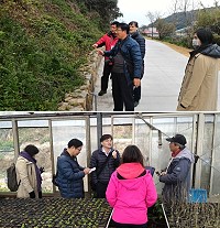 建設局和中國醫藥大學合作,研發地區藥用植物,增加伴手禮發展選項。(圖:建設局提供)