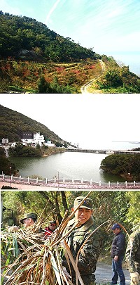 (上圖)勝天公園步道整理後日後可觀海、賞櫻。(中圖)民俗文物館前雜樹整理後海景一望無際。(下圖)弟兄們齊心協力清除芒草。(圖:呂鎮宇/文:陳玉笈)