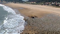 配合坂里景觀海堤工程石材取得,沙灘上碎石規劃清除再利用。(圖/文:陳鵬雄)