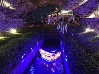 全村一起來熱鬧!(圖與文:張登傑、陳樂團)