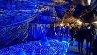 全村一起來熱鬧!(圖與文:張登傑、陳樂團)