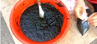 馬祖人叫「垢」(野生海苔),圖為「油垢」。(圖:宋志富)