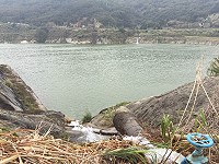 大雨挹注加上勝利庫水調入,后澳水庫水位達到久違高點,蓄水量達156331噸。(圖:本報編輯部)
