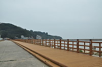 　山隴海堤旁木棧道完成維修，提供民眾、觀光客賞「藍眼淚」更好的休憩平台。（圖／文：馮紹夫）