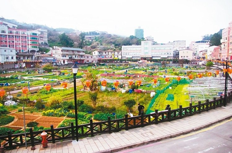 連江縣府外2公頃的「山隴蔬菜公園」,除種植蔬菜,休耕期也會種滿大片油菜花,大片菜圃綠油油的景致,是連江縣府員工最佳抒壓良藥。 記者連珮宇/攝影