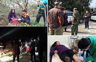 　阿嬤劉淑貞在發現現場，警消勸說回家，她的手提袋也備置礦泉水等及送往縣立醫院檢查無恙。縣長劉增應、指揮官莫又銘1日上午均趕往現場了解狀況，對軍民連夜合力協尋及軍警義消岸巡及鄉親熱心表示敬意。（圖：警察局、消防局提供、本報編輯部）