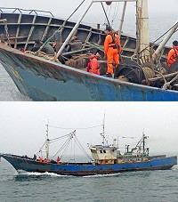馬祖海巡隊清明連假不打烊,東引分隊查獲大陸籍「浙○漁01XX8號」鐵殼漁船非法越界捕魚,依法將該船押解至南竿隊部扣留調查。(圖:海洋巡防總局馬祖海巡隊)