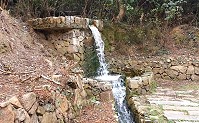 連日大雨挹注,各地水源不斷湧入各水庫,后澳水庫水量突破7成,其他三鄉水庫皆為滿水位狀態。(圖:本報編輯部)