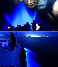 2016北竿海洋文化之旅活動5月1日由海上看藍眼淚打頭陣,活動延續至9月中旬,要讓遊客精彩一「夏」。(圖:龍福旅行社)