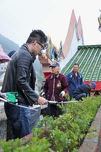 　綠我家鄉。（圖／文：陳鵬雄）