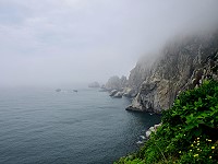 　由安東坑道向大海望去，迷霧籠罩之中，已能清楚聽見黑尾鷗的嘈雜叫聲。（圖／文：陳其敏）