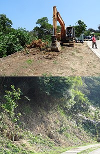 近期發生3起樹木損毀事件,建設局呼籲大家務必珍惜愛護植物花樹。(圖:建設局提供)