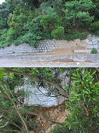 中澳口往白沙山線道路邊坡一巨大廢棄碉堡地基流失坍方,隨時有掉落的危機。(圖/文:陳鵬雄)