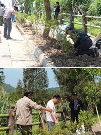 南竿山海線道路杜鵑補植15日開始啟動,範圍從南竿機場至儲水澳水庫。(圖/文:吳嘉榮)