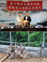 連江縣大坵島梅花鹿捐贈典禮,昨天下午2時在建設局4樓會議室舉行。(圖/文:吳嘉榮)