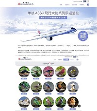 華航新機空中巴士A350命名票選24類鳥種,馬祖「神話之鳥」黑嘴端鳳頭燕鷗列入名單之一(圖下左1),並可參加抽歐洲航點雙人來回機票好康活動。(圖:中華航空公司)