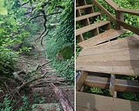 西莒坤坵步道,部分路段樹木倒塌,木板棧道脫落,影響遊客對西莒的觀感。(圖/文:宋幸儒)