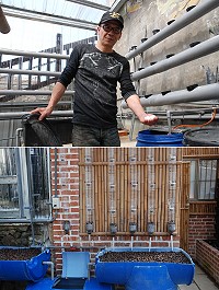 (上圖)漁寮書齋老闆陳長忠展示用來培育硝化菌的K1濾材,硝化菌可將魚排泄物產生的有毒物質氨分解掉。(下圖)魚菜共生實驗基地內的介質床,所有容器皆為回收再使用,以達到環保目的。(圖/文:楊凱棻)