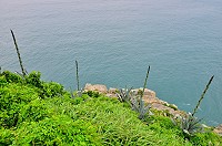 　奮起的姿態。（圖／文：陳其敏）