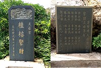 　龜島雙碑。（圖／文：陳鵬雄）