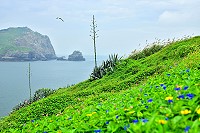 　繽紛的季節。（圖與文：陳其敏）