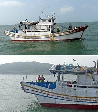 　在地籍漁船之大陸漁工近岸作業，馬祖海巡依法取締。（圖：馬祖海巡隊）