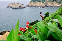 　紅色美人在海角。（圖／文：陳其敏）