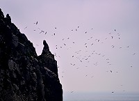 　飛羽•地景。（圖／文：陳其敏）