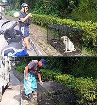 為解決流浪犬問題,建設局呼籲鄉親勿將捕狗籠捕獲犬隻隨意放走。(圖/文:吳嘉榮)