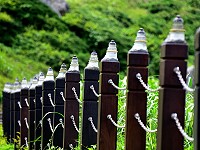 　 網民反映東引燈塔步道野草叢生的情況，管理單位已完成改善。（圖／文：陳其敏）