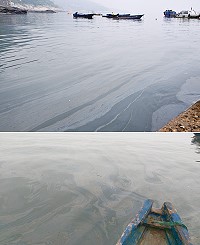 北竿橋仔至芹壁廣達5平方公里的海域遭不明油料污染,整個海面都可聞到濃濃的油氣味。(圖/文:陳鵬雄)