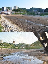 　縣府建設局在清水濕地設置海漂垃圾攔截網，裝設以來垃圾量明顯減少，成效頗佳。（圖／文：馮紹夫）