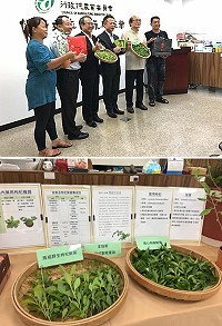 茶葉與枸杞的對話-馬祖平安茶發表記者會昨天在農委會舉行。(圖:雲津茶坊)